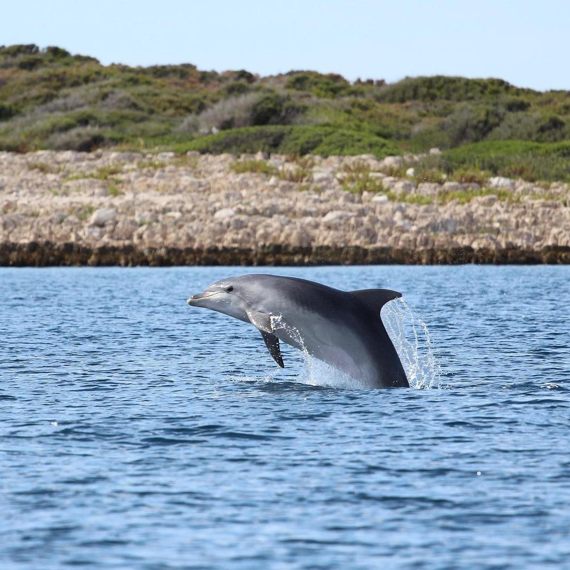 Segeln in Kroatien